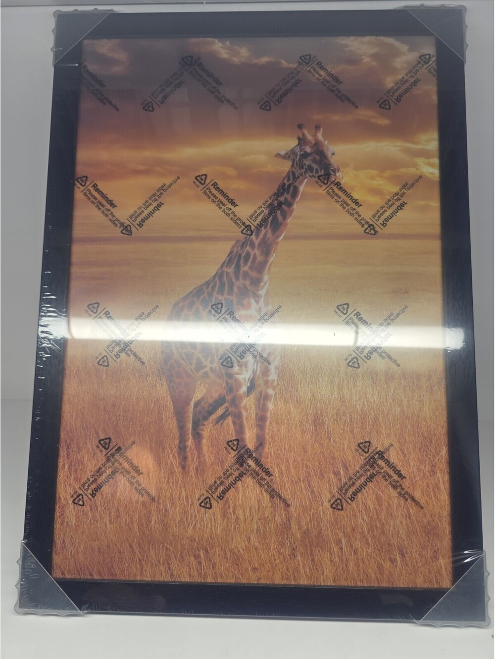 12x18 Black Photo Frame Giraffe Safari Sunset Wall Decor Plexi Acrylic New